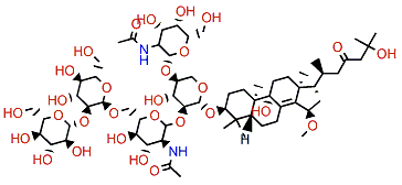 Sarasinoside K